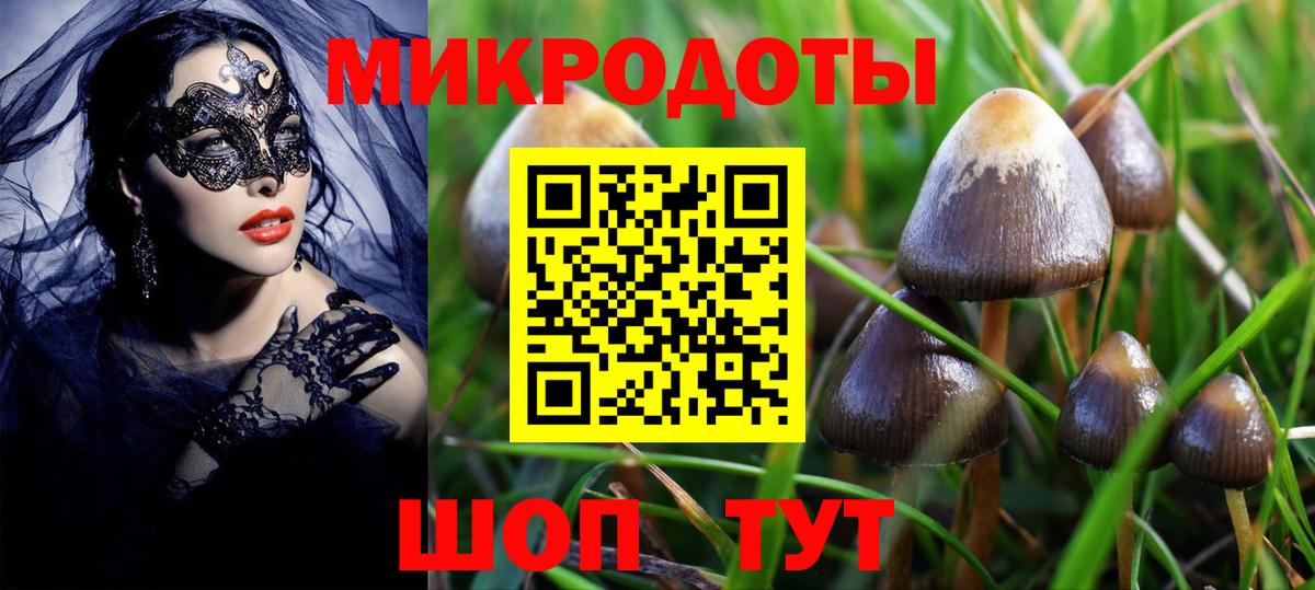 Галлюциногенные грибы Magic Shrooms  Вход с VPN  Донской 